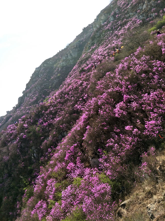 j9集团官网·(中国区)官方直营平台