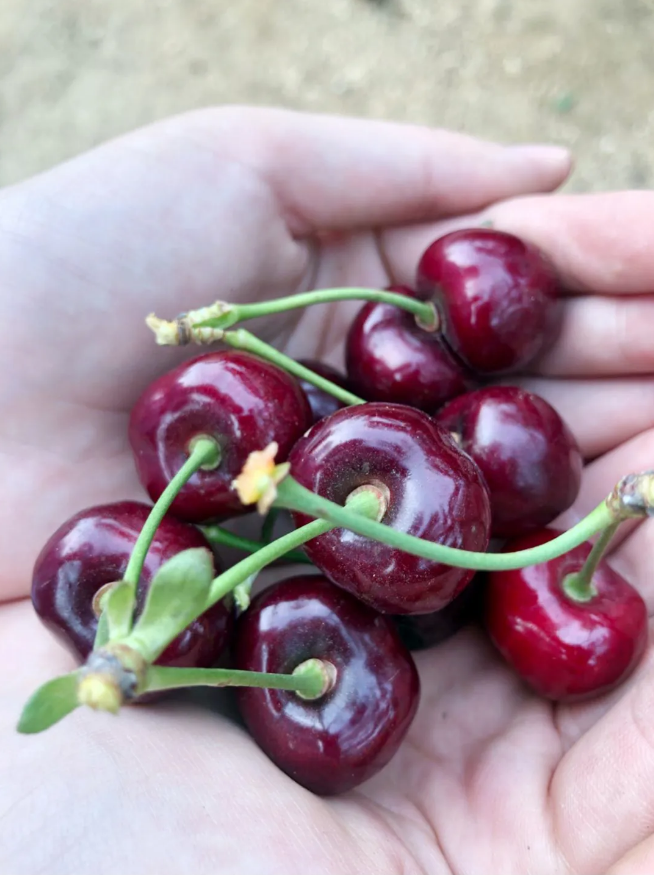 j9集团官网·(中国区)官方直营平台